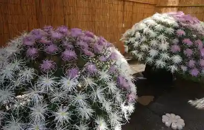 湯島天満宮のお祭り