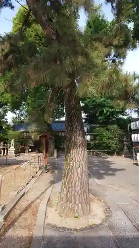 縣神社の庭園