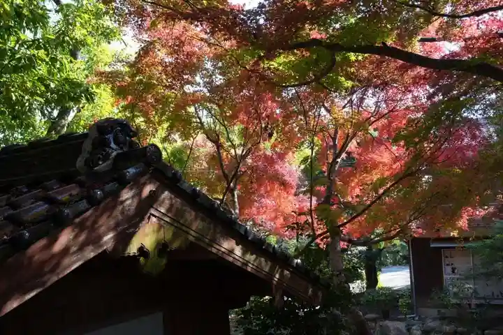 智光院(山口県)