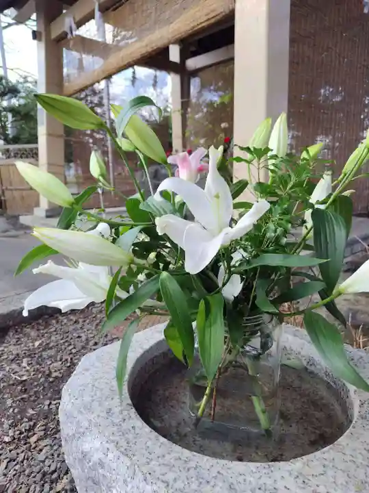 厚別神社(北海道)