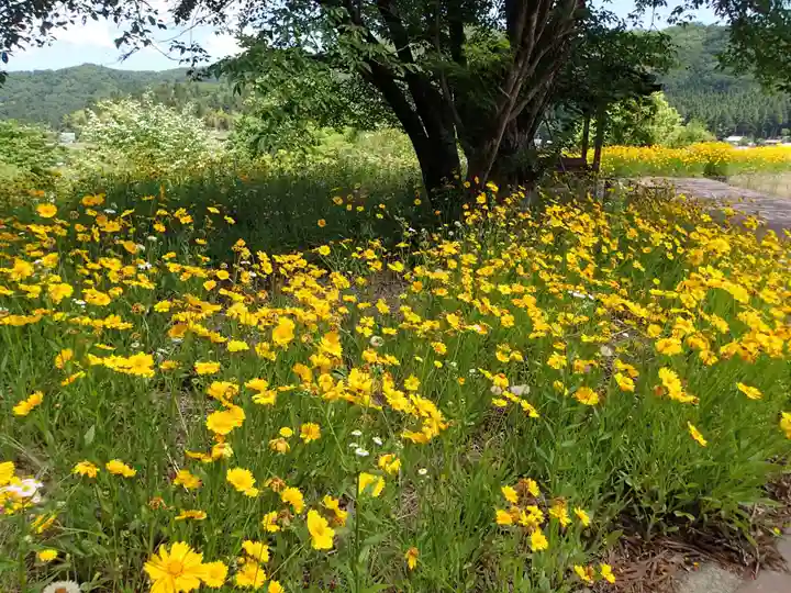長岡神社・八幡神社・天御布須麻神社の自然