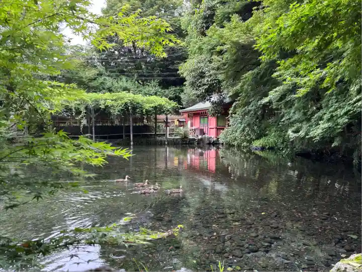 富士山本宮浅間大社(静岡県)
