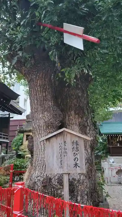 三輪神社(愛知県)