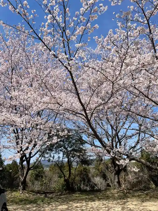 貴船神社の自然