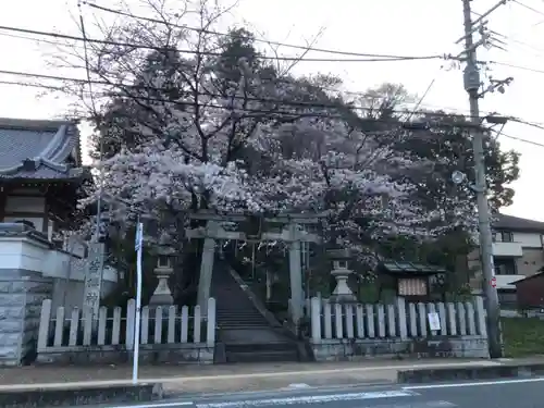 若櫻神社の鳥居