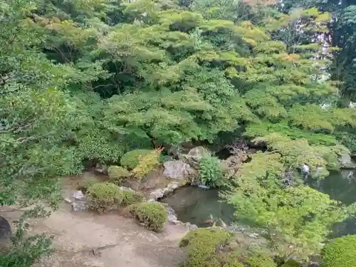隨心院（随心院）(京都府)