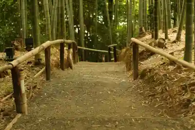 高台寺（高台寿聖禅寺・高臺寺）(京都府)