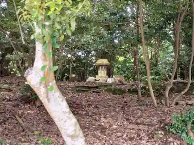 氣多大社の{uncategorized: "未分類", other: "その他", undefined: "問題あり", building: "その他建物", grave: "お墓", sacred_gate: "鳥居", guardian: "狛犬", statue: "像", buddha: "仏像", history: "歴史", nature: "自然", garden: "庭園", animal: "動物", pagoda: "塔", temizu: "手水舎", mountain_gate: "山門・神門", sanctuary: "本殿・本堂", subordinate: "末社・摂社", art: "芸術", scenery: "景色", jizo: "地蔵", ema: "絵馬", goshuin: "御朱印", omikuji: "おみくじ", items: "授与品その他", amulet: "お守り", goshuincho: "御朱印帳", eats: "食事", festival: "お祭り", votive_dance: "神楽", shichigosan: "七五三参", wedding: "結婚式", experience: "体験その他", initially: "初詣", around: "周辺", anti_infection: "感染症対策"}