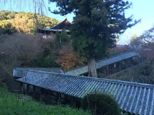 長谷寺の景色