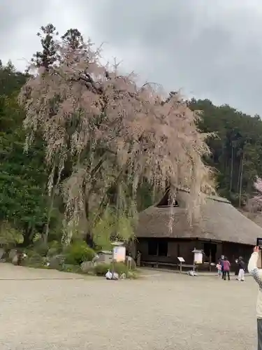 高麗神社の景色