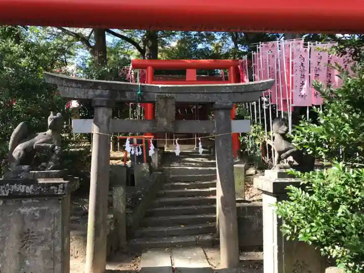 安積國造神社の鳥居