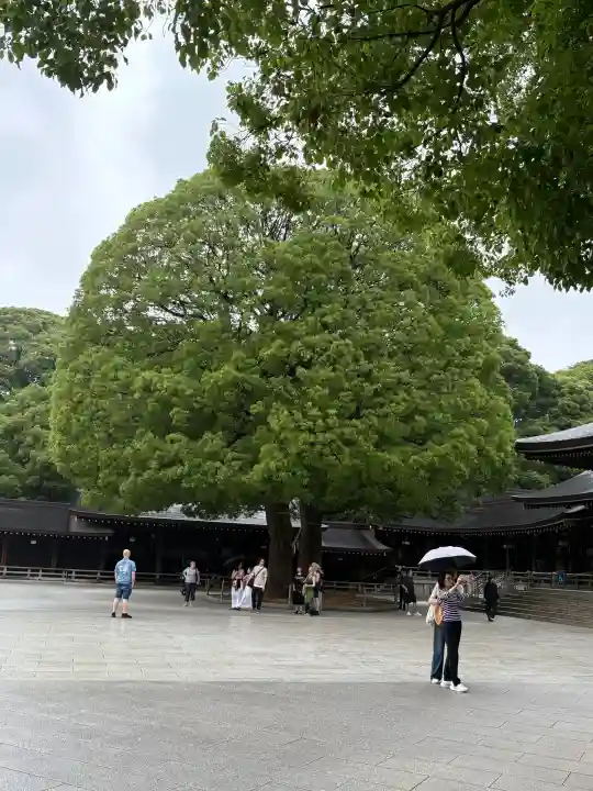 明治神宮の{uncategorized: "未分類", other: "その他", undefined: "問題あり", building: "その他建物", grave: "お墓", sacred_gate: "鳥居", guardian: "狛犬", statue: "像", buddha: "仏像", history: "歴史", nature: "自然", garden: "庭園", animal: "動物", pagoda: "塔", temizu: "手水舎", mountain_gate: "山門・神門", sanctuary: "本殿・本堂", subordinate: "末社・摂社", art: "芸術", scenery: "景色", jizo: "地蔵", ema: "絵馬", goshuin: "御朱印", omikuji: "おみくじ", items: "授与品その他", amulet: "お守り", goshuincho: "御朱印帳", eats: "食事", festival: "お祭り", votive_dance: "神楽", shichigosan: "七五三参", wedding: "結婚式", experience: "体験その他", initially: "初詣", around: "周辺", anti_infection: "感染症対策"}