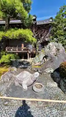 松尾大社の狛犬