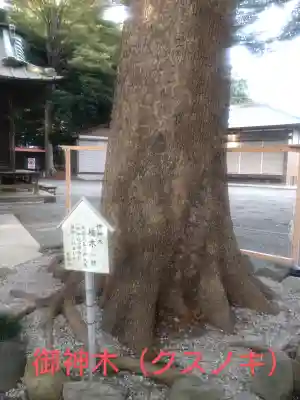 五社神社(神奈川県)