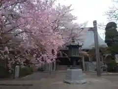 祇園寺の自然