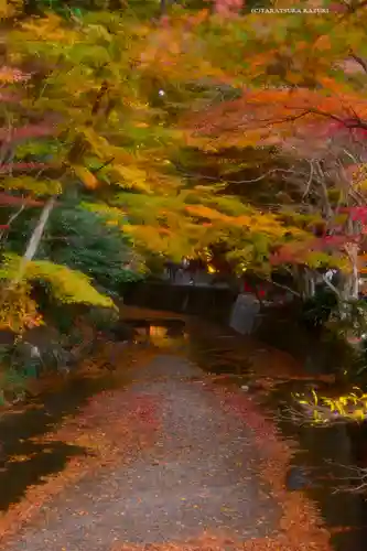 小國神社(静岡県)