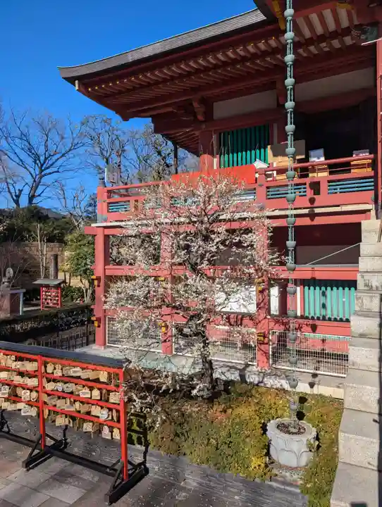瀧泉寺(目黒不動尊)(東京都)