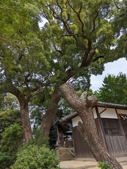 常磐神社(京都府)