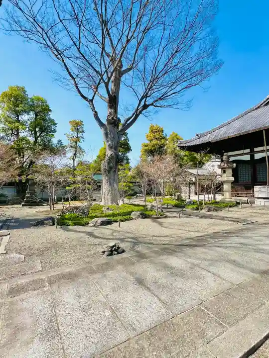 善徳寺の{uncategorized: "未分類", other: "その他", undefined: "問題あり", building: "その他建物", grave: "お墓", sacred_gate: "鳥居", guardian: "狛犬", statue: "像", buddha: "仏像", history: "歴史", nature: "自然", garden: "庭園", animal: "動物", pagoda: "塔", temizu: "手水舎", mountain_gate: "山門・神門", sanctuary: "本殿・本堂", subordinate: "末社・摂社", art: "芸術", scenery: "景色", jizo: "地蔵", ema: "絵馬", goshuin: "御朱印", omikuji: "おみくじ", items: "授与品その他", amulet: "お守り", goshuincho: "御朱印帳", eats: "食事", festival: "お祭り", votive_dance: "神楽", shichigosan: "七五三参", wedding: "結婚式", experience: "体験その他", initially: "初詣", around: "周辺", anti_infection: "感染症対策"}