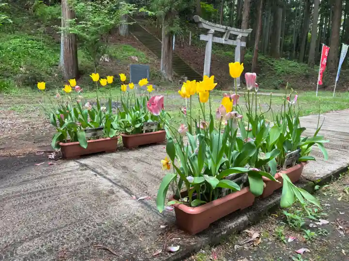 大宮温泉神社の自然