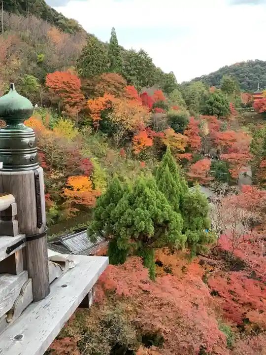 清水寺(京都府)