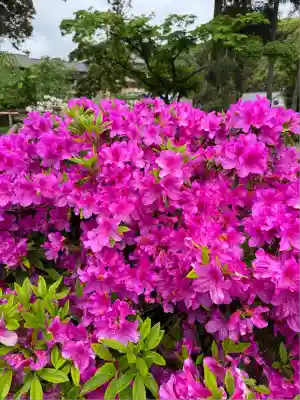 円覚寺(神奈川県)