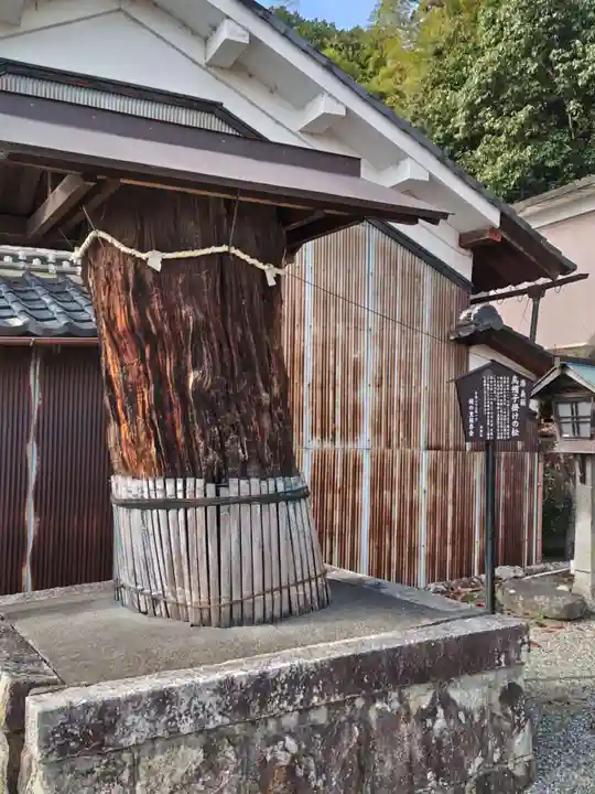 鏡神社(滋賀県)