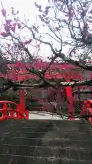 賀茂御祖神社（下鴨神社）の建物その他