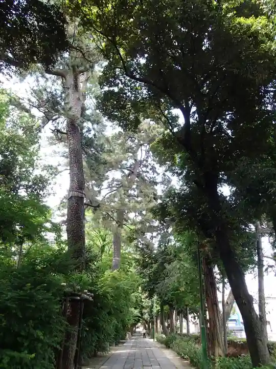 越ヶ谷久伊豆神社のその他建物