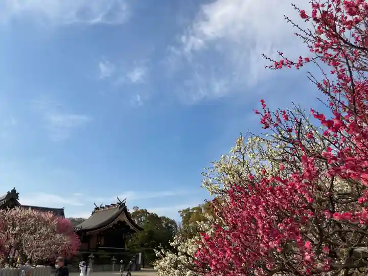 曽根天満宮の庭園