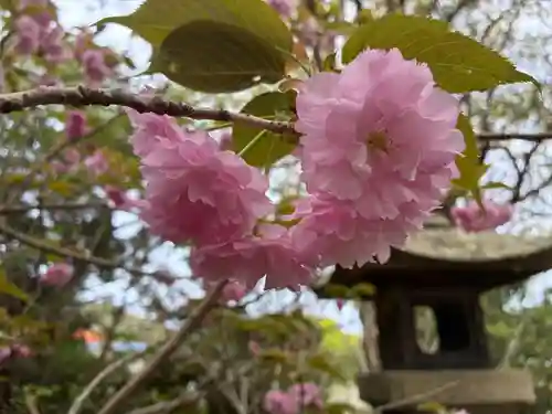 人丸神社(徳島県)