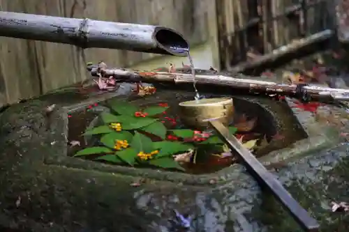 柳谷観音　楊谷寺の手水舎