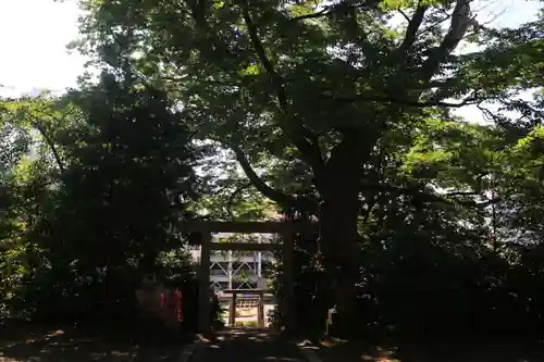 愛宕神社の鳥居