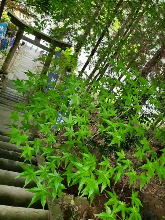 滑川神社 - 仕事と子どもの守り神の鳥居