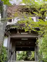 専修寺京都別院(京都府)