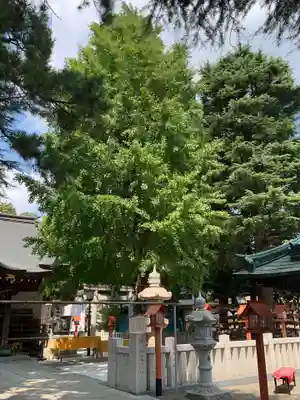 草加神社(埼玉県)