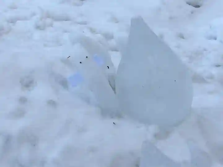 北広島市総鎮守 廣島神社の庭園