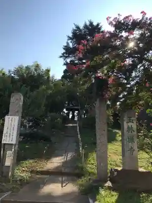 玉林寺のその他建物