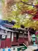 西福寺の{uncategorized: "未分類", other: "その他", undefined: "問題あり", building: "その他建物", grave: "お墓", sacred_gate: "鳥居", guardian: "狛犬", statue: "像", buddha: "仏像", history: "歴史", nature: "自然", garden: "庭園", animal: "動物", pagoda: "塔", temizu: "手水舎", mountain_gate: "山門・神門", sanctuary: "本殿・本堂", subordinate: "末社・摂社", art: "芸術", scenery: "景色", jizo: "地蔵", ema: "絵馬", goshuin: "御朱印", omikuji: "おみくじ", items: "授与品その他", amulet: "お守り", goshuincho: "御朱印帳", eats: "食事", festival: "お祭り", votive_dance: "神楽", shichigosan: "七五三参", wedding: "結婚式", experience: "体験その他", initially: "初詣", around: "周辺", anti_infection: "感染症対策"}