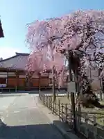 円東寺(福島県)