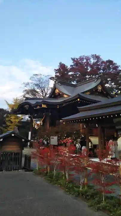 行田八幡神社の本殿・本堂
