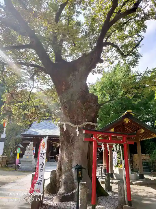 新田神社の自然