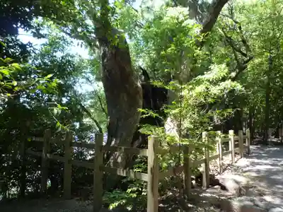 松下社（二見町）の自然