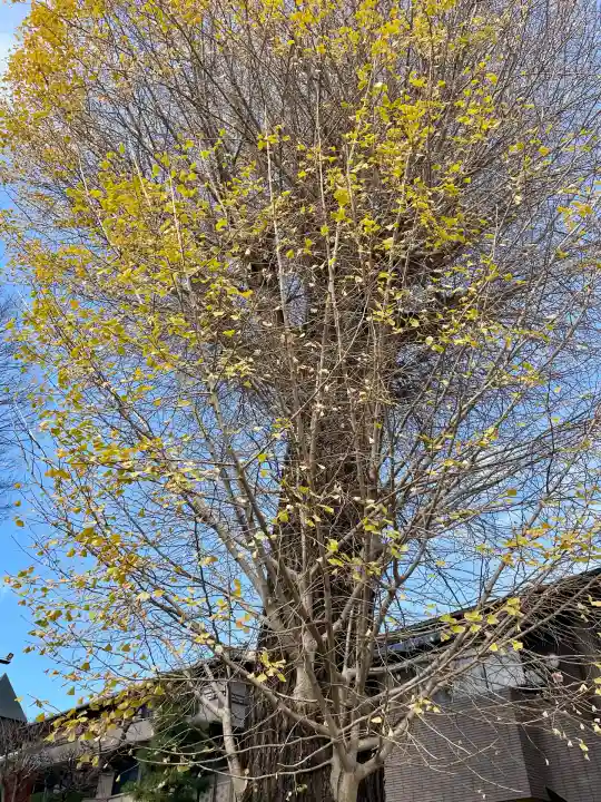 廣源院東福寺(東京都)