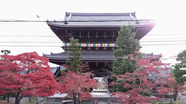 くろ谷 金戒光明寺(京都府)
