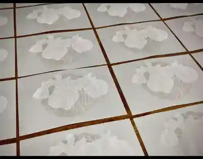 三輪神社(愛知県)