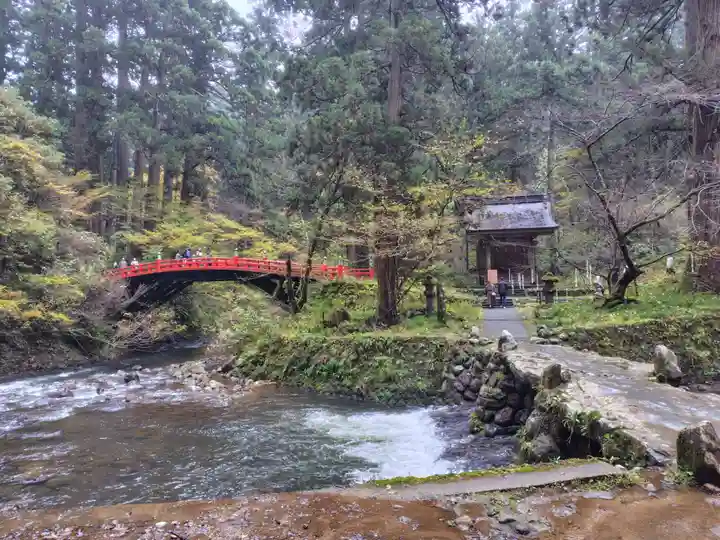 羽黒山五重塔(出羽三山神社)(山形県)