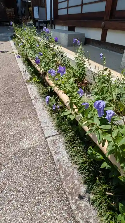 晴明神社(京都府)