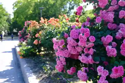 十日恵比須神社(福岡県)