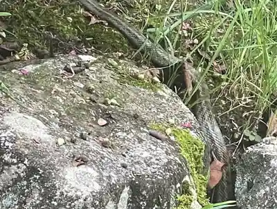 伊勢の国 四天王寺(三重県)